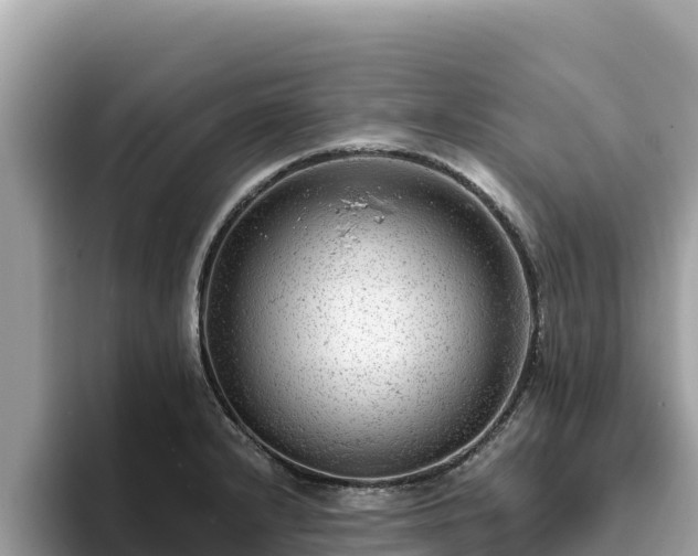 X0000093421232200710190959