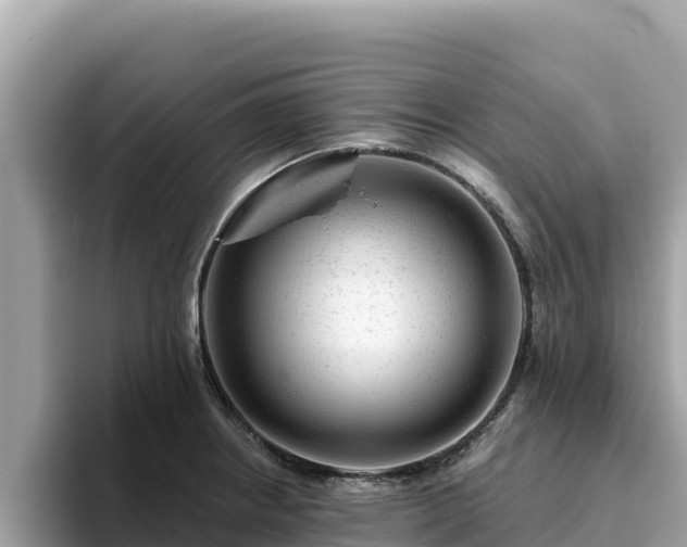 X0000093421234200710190959