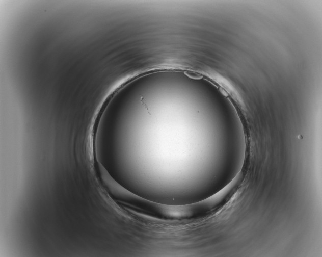 X0000093421238200710190959