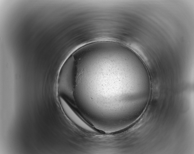 X0000093421244200710190959