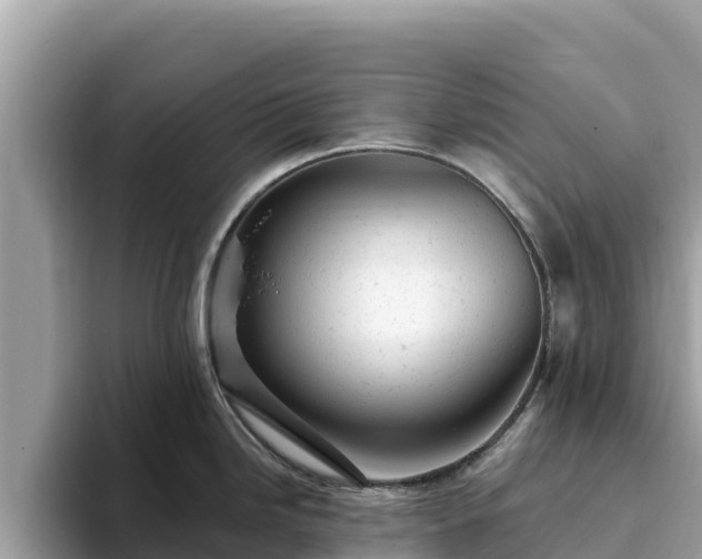 X0000093421246200710190959
