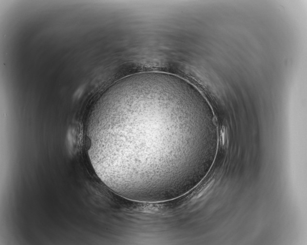 X0000093421251200710190958
