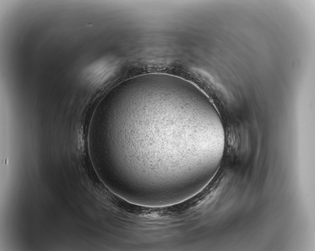 X0000093421252200710190958