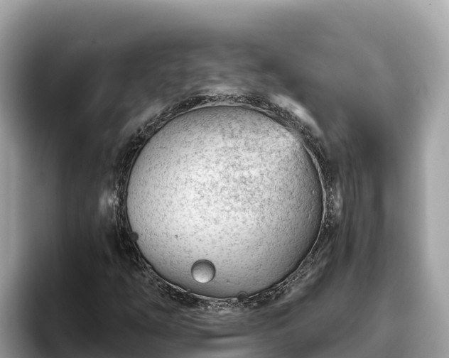 X0000093421254200710190958