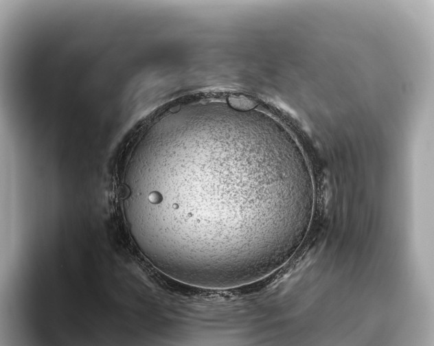 X0000093421255200710190958