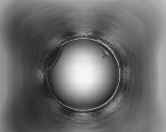 X0000093421257200710190958