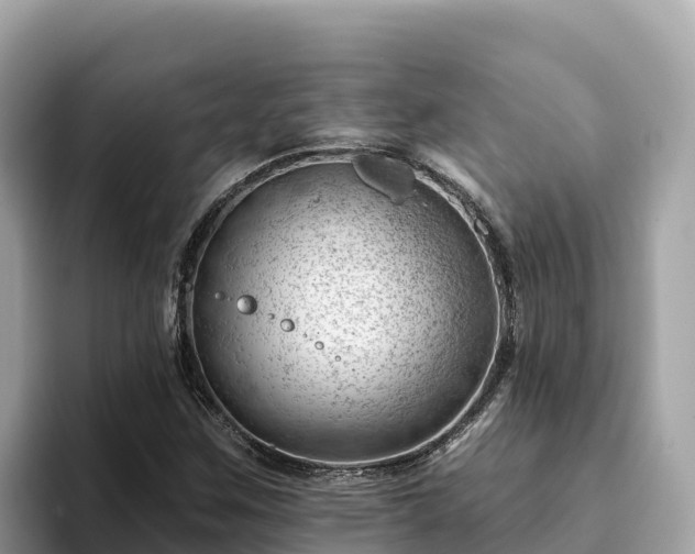 X0000093421259200710190958