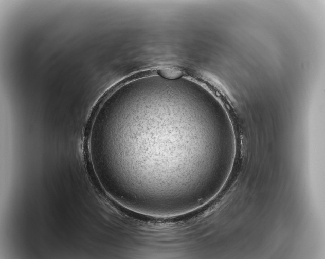 X0000093421260200710190958