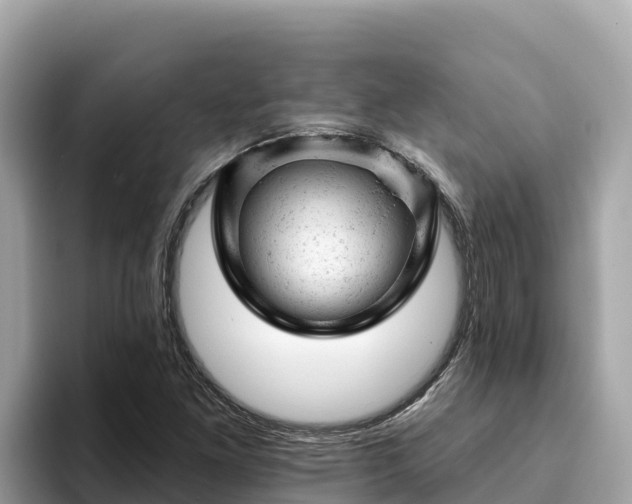 X0000093421261200710190958