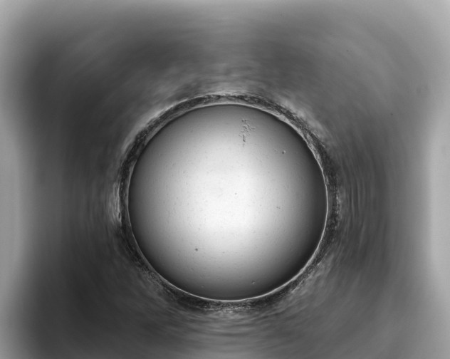 X0000093421262200710190958