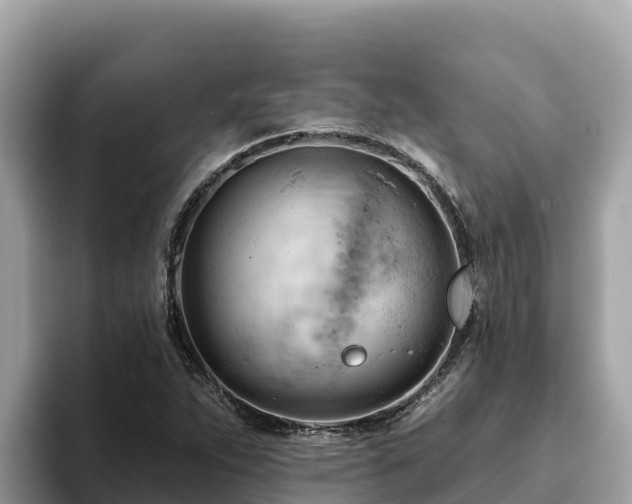 X0000093421263200710190958