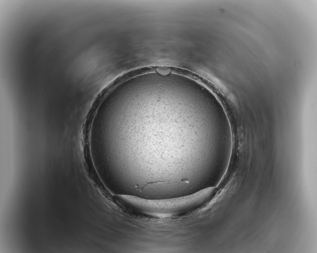 X0000093421264200710190958
