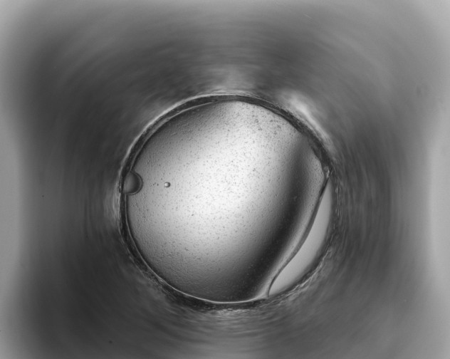 X0000093421268200710190958