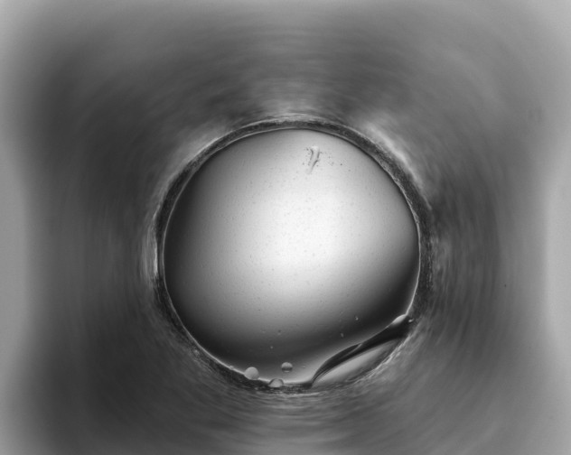 X0000093421269200710190958