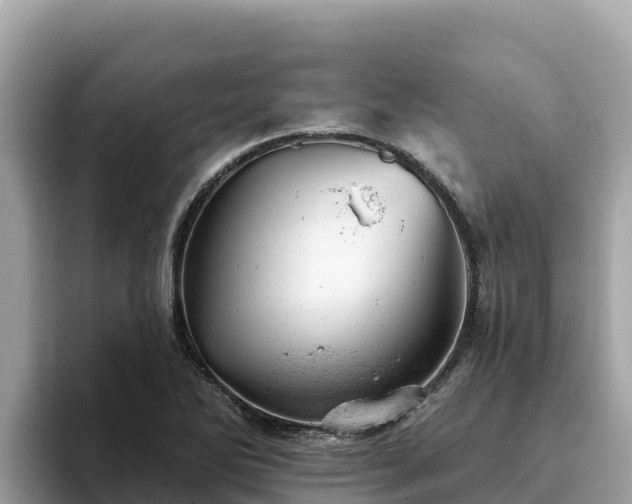 X0000093421270200710190958