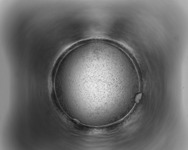 X0000093421271200710190958