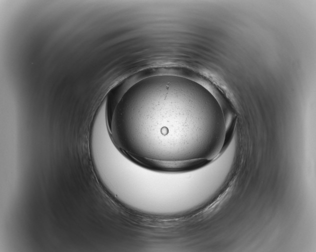 X0000093421273200710190958