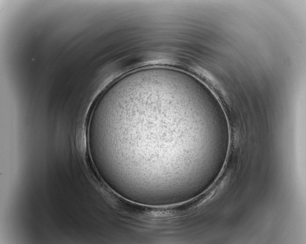 X0000093421274200710190958