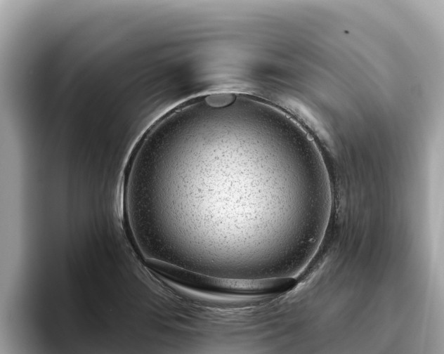 X0000093421276200710190958
