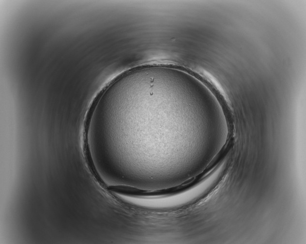 X0000093421277200710190958