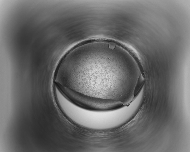 X0000093421279200710190958