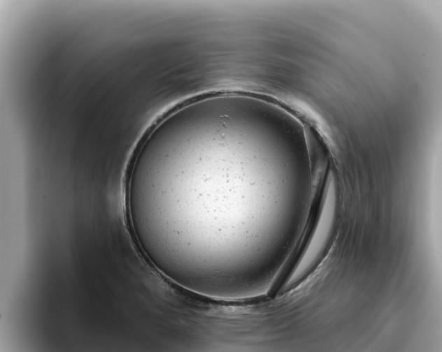 X0000093421280200710190958
