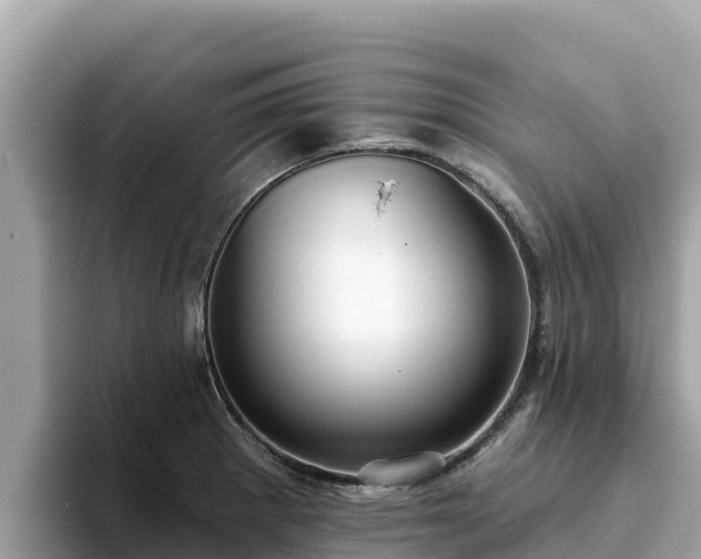X0000093421281200710190958