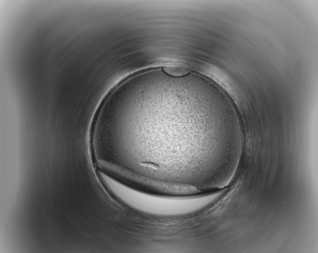 X0000093421283200710190958