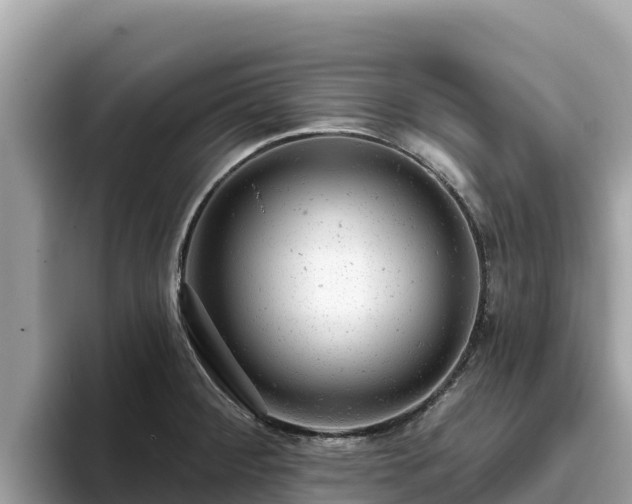 X0000093421284200710190958