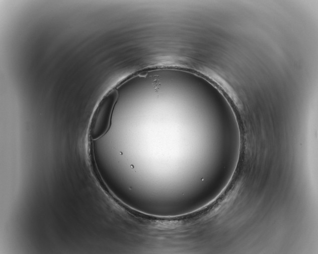 X0000093421285200710190958