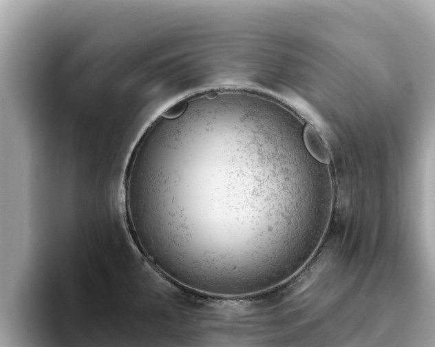 X0000093421287200710190958