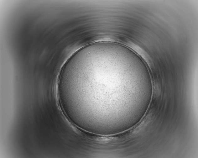 X0000093421290200710190958