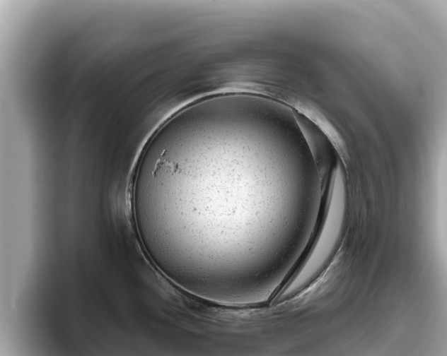 X0000093421292200710190958