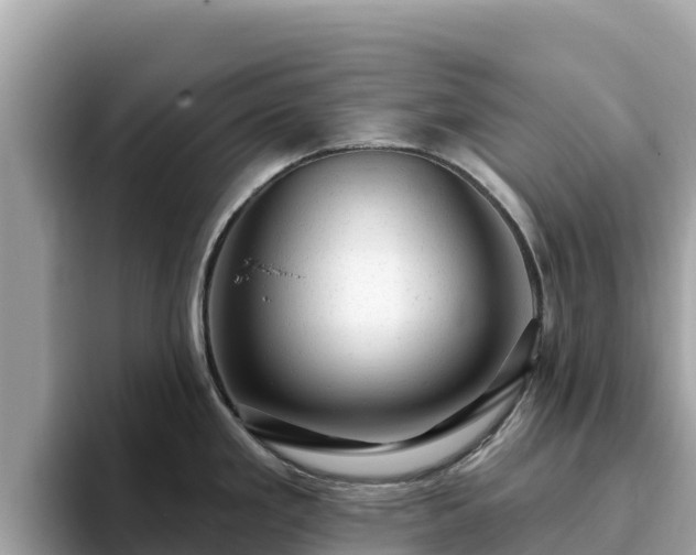 X0000093421293200710190958