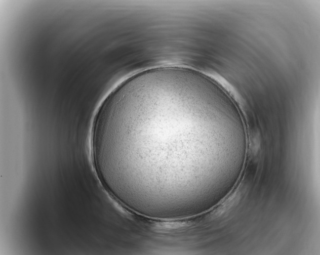 X0000093421294200710190958