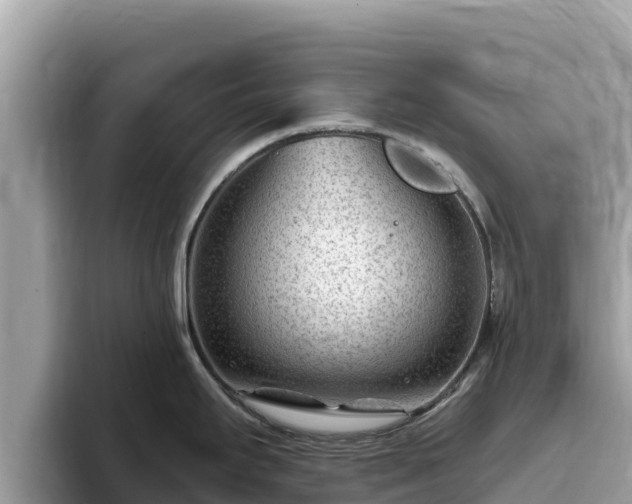 X0000093421295200710190958
