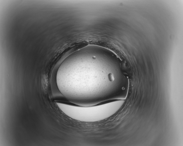 X0000093421298200710190957