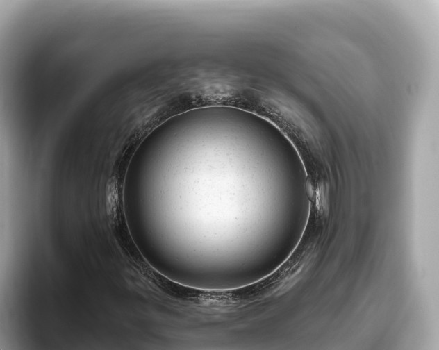 X0000093421299200710190957