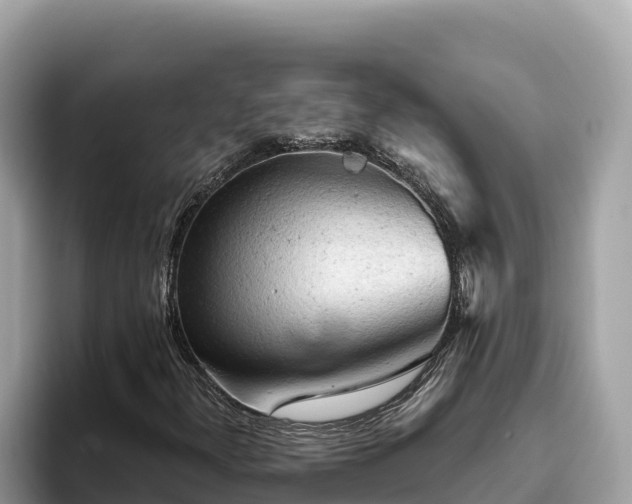 X0000093421300200710190957