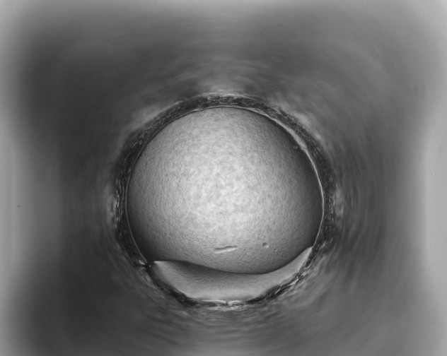 X0000093421303200710190957