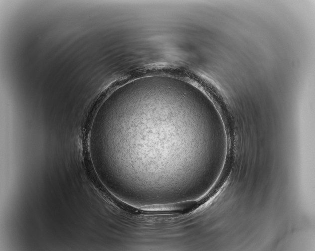 X0000093421305200710190957