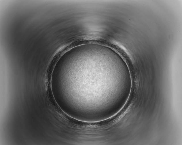 X0000093421306200710190957