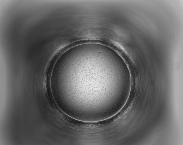 X0000093421307200710190957