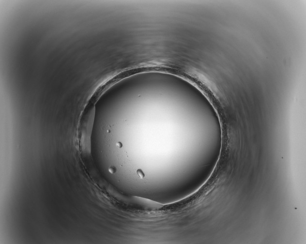 X0000093421308200710190957
