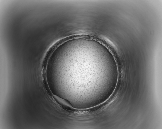 X0000093421310200710190957