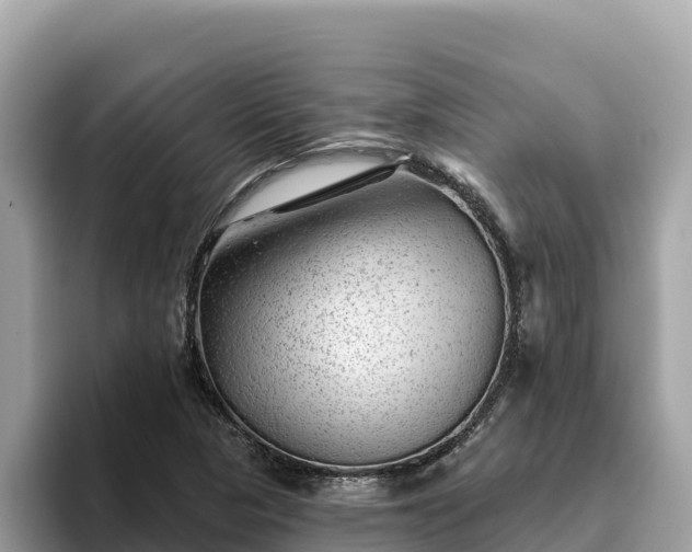 X0000093421313200710190957