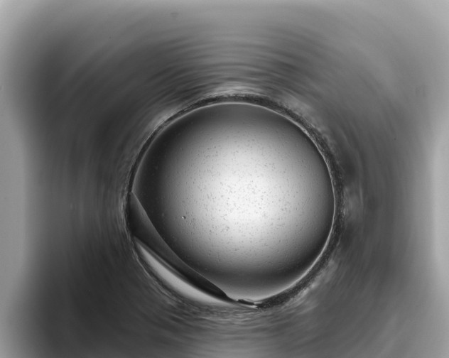 X0000093421321200710190957