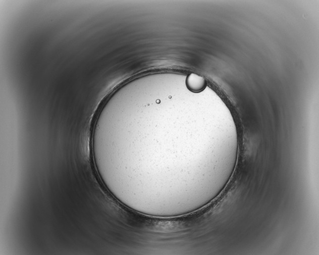X0000093421322200710190957