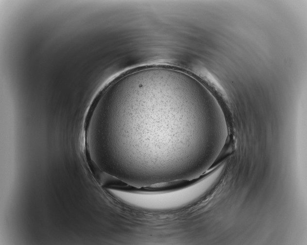 X0000093421324200710190957
