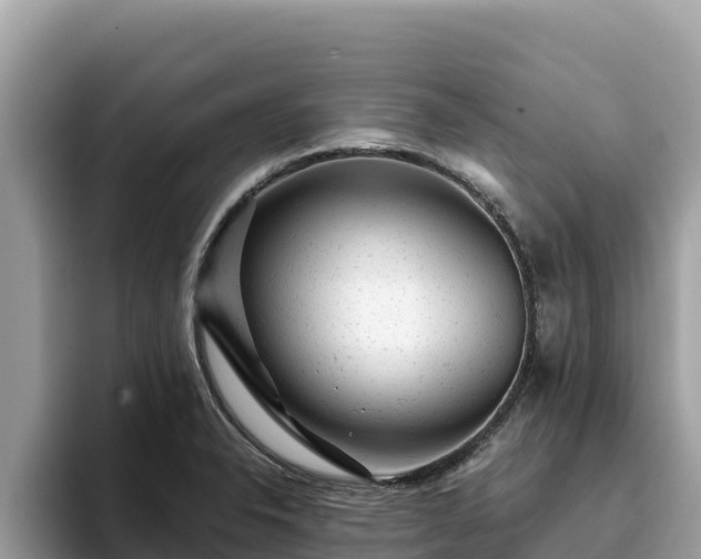 X0000093421326200710190957